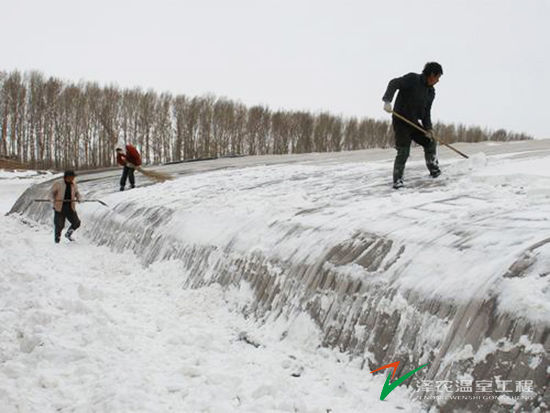 内蒙乌拉特后旗金朗泰设施农业基地